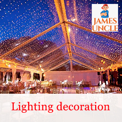 Lighting decoration Mr. Manas Mondal in Katwa